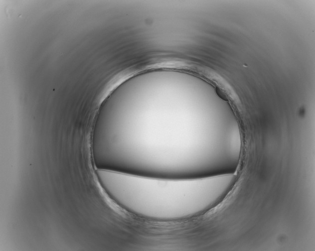 X0000095131425200712070956