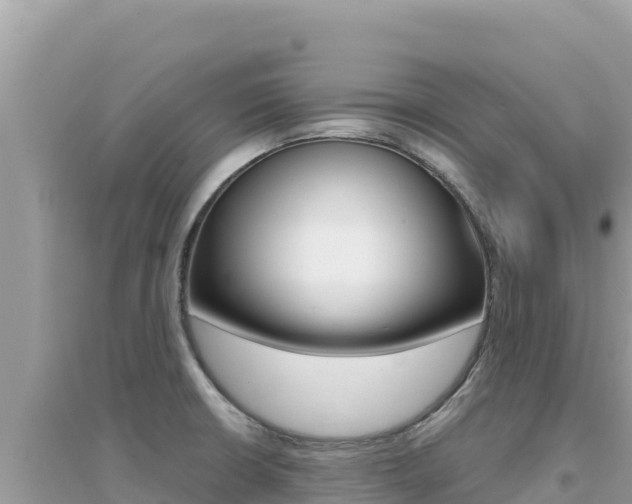 X0000095131426200712070957