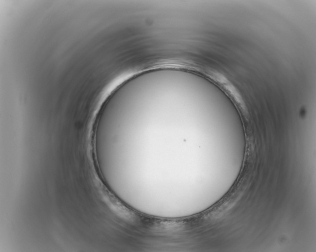X0000095131427200712070957