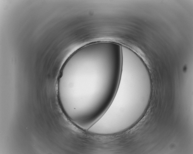 X0000095131428200712070957