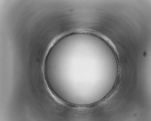X0000095131429200712070957