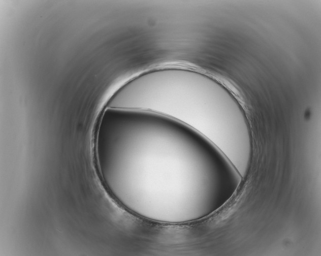 X0000095131430200712070957