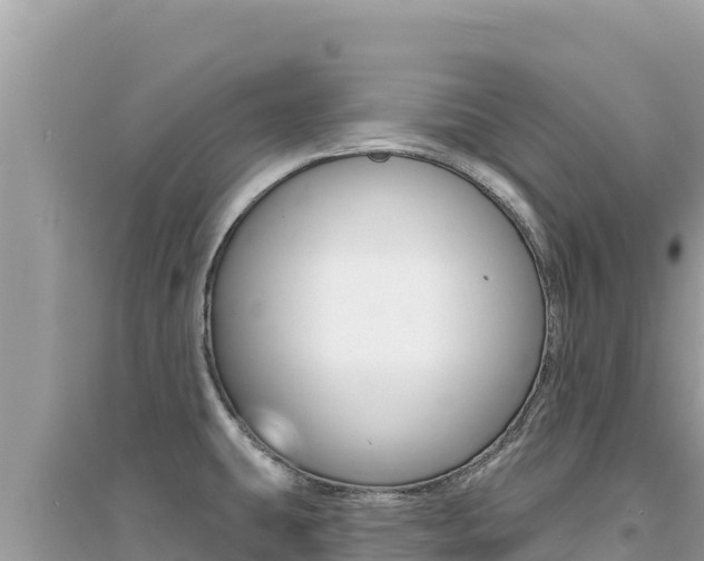 X0000095131431200712070957