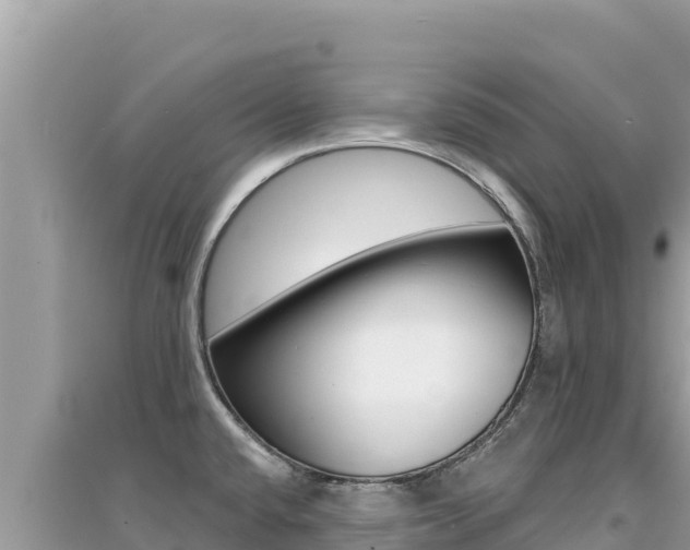 X0000095131432200712070957