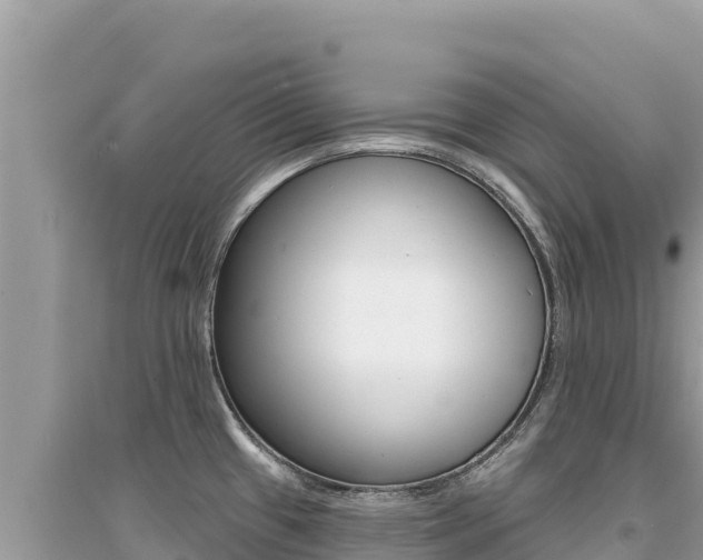X0000095131433200712070957