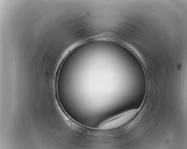 X0000095131434200712070957