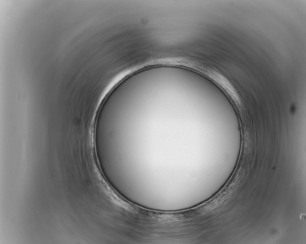X0000095131436200712070957