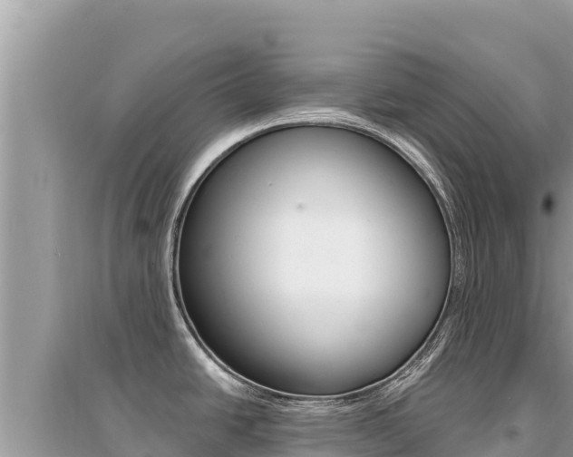 X0000095131438200712070957