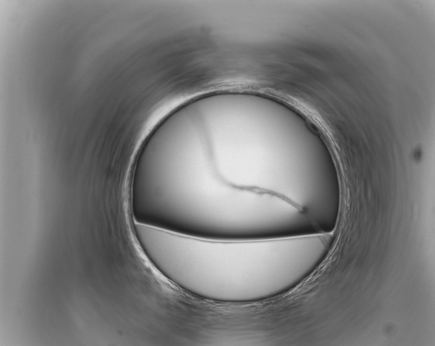 X0000095131440200712070957