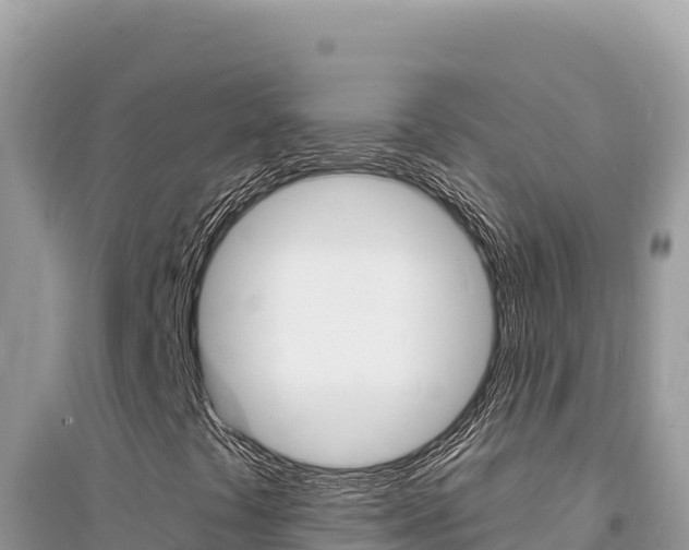 X0000095131441200712070956