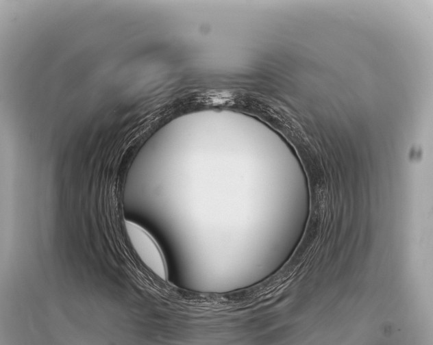 X0000095131442200712070956