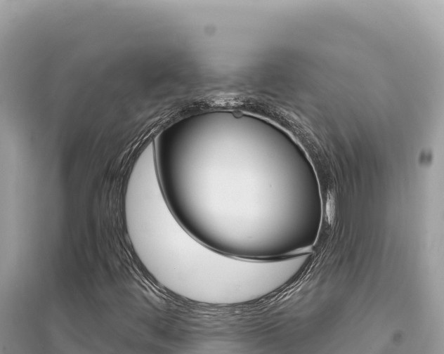 X0000095131444200712070956