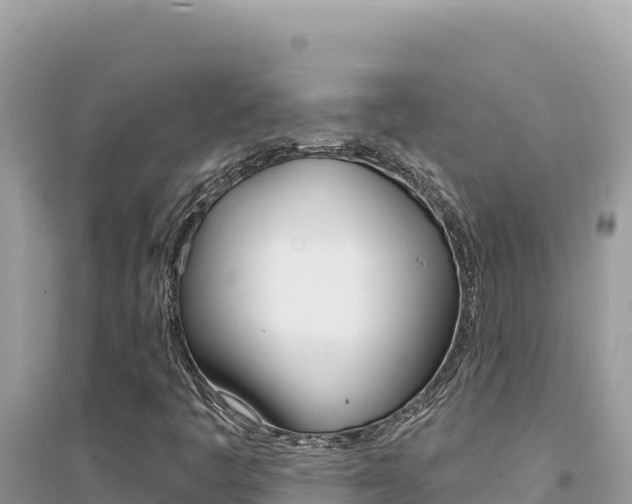 X0000095131445200712070956