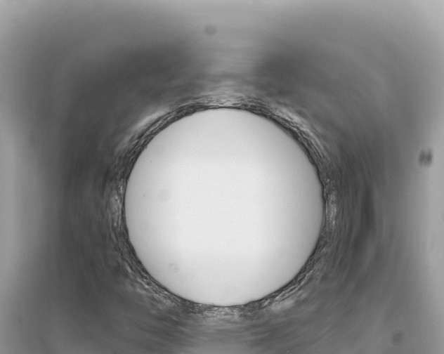 X0000095131446200712070956