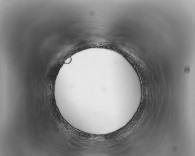 X0000095131447200712070956