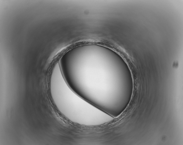 X0000095131448200712070956
