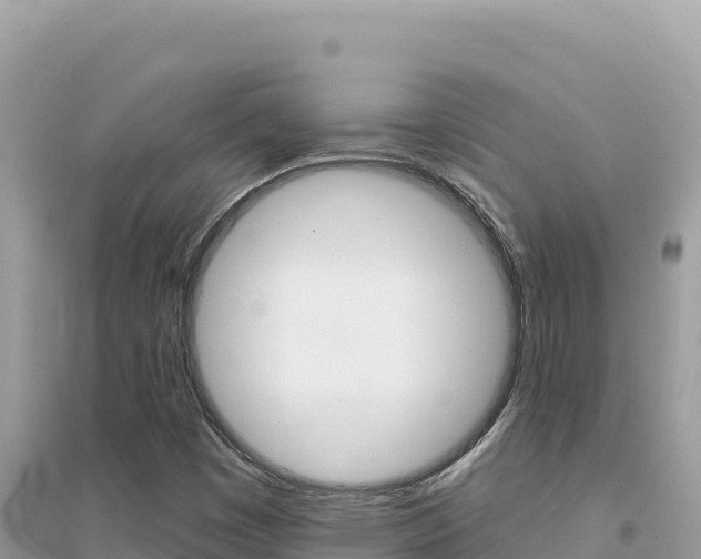 X0000095131449200712070956