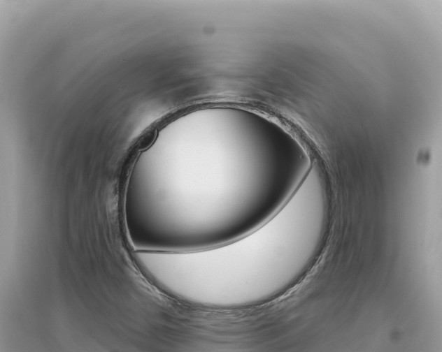 X0000095131450200712070956