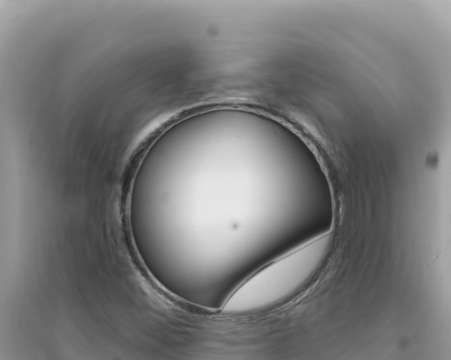 X0000095131452200712070956