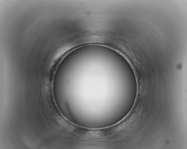 X0000095131453200712070956