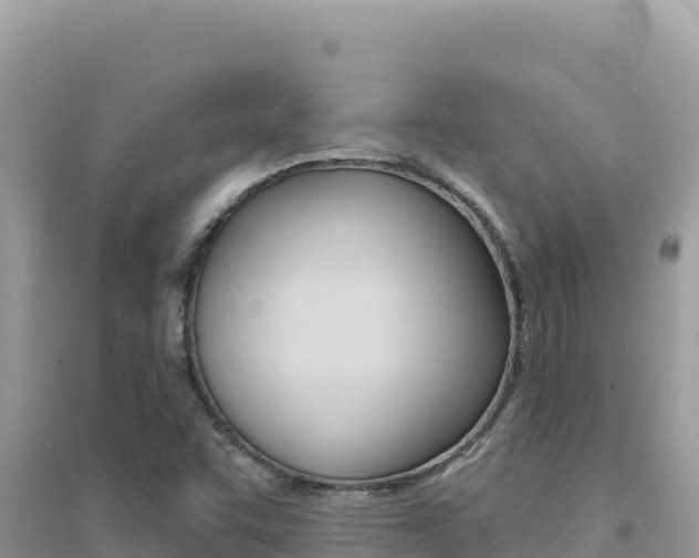 X0000095131455200712070956