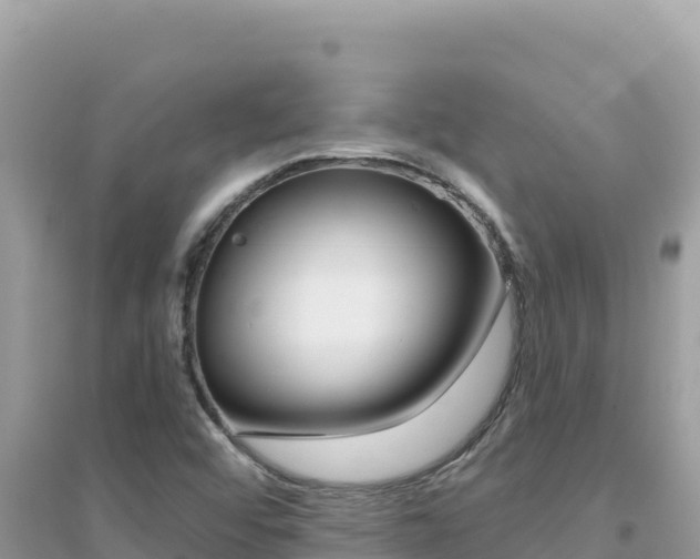 X0000095131456200712070956