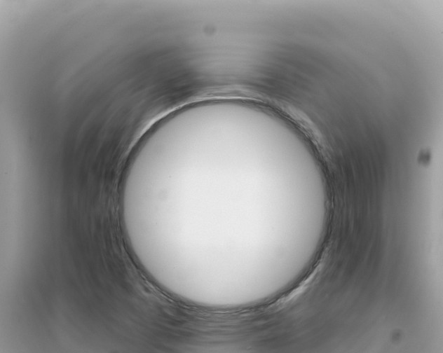 X0000095131457200712070956