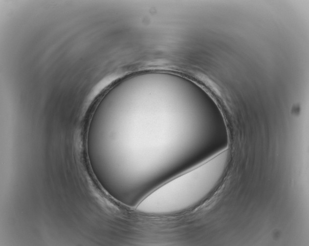 X0000095131458200712070956