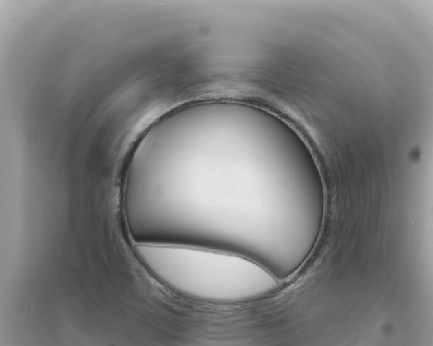 X0000095131459200712070956