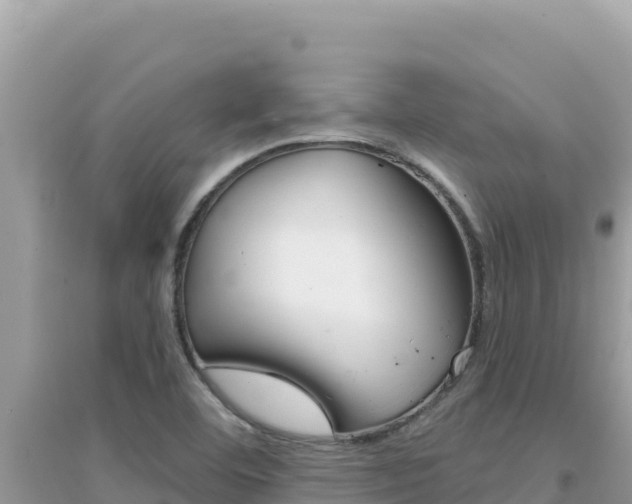 X0000095131460200712070956