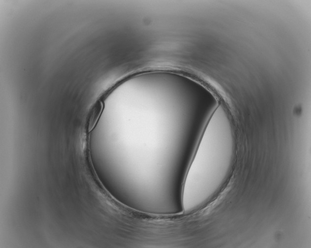 X0000095131461200712070956