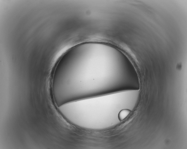 X0000095131463200712070956