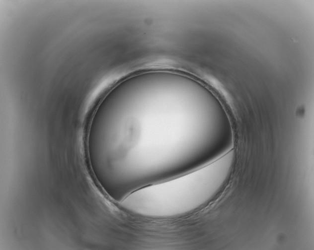 X0000095131464200712070956