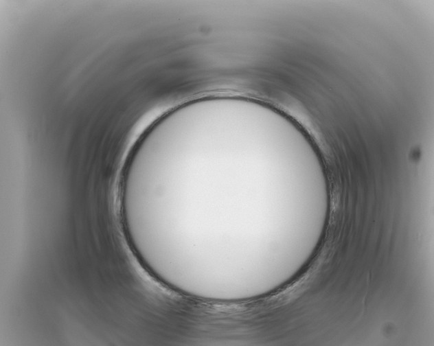 X0000095131466200712070956