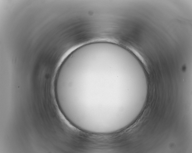 X0000095131468200712070955