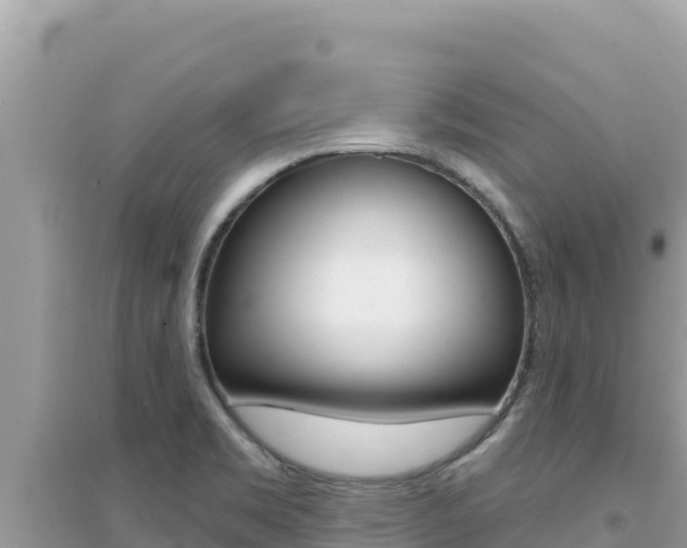 X0000095131469200712070955