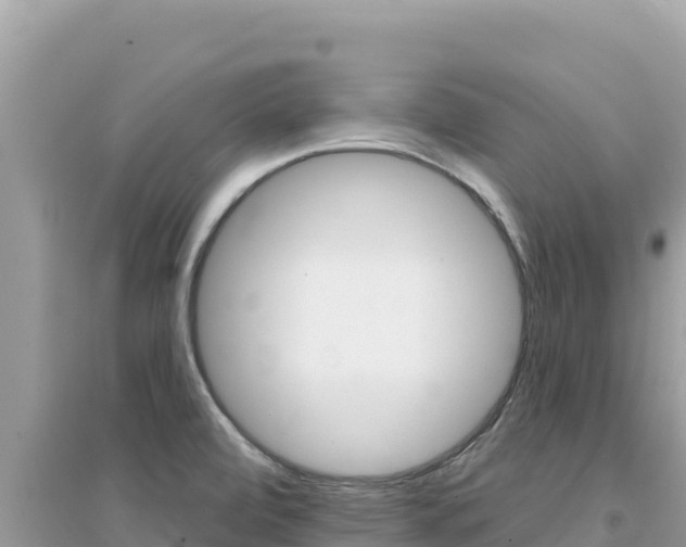 X0000095131472200712070955
