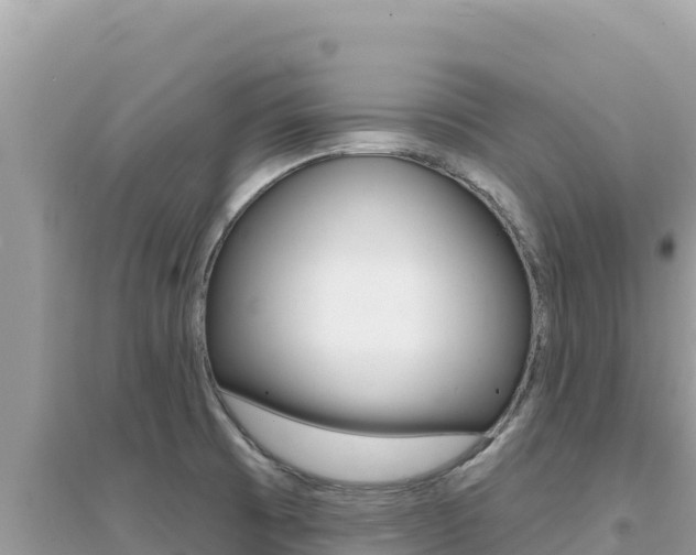 X0000095131473200712070955