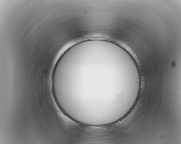 X0000095131474200712070955