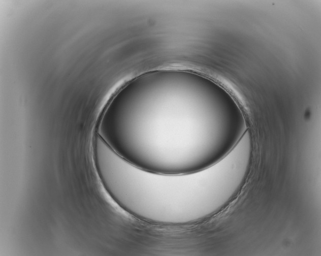 X0000095131476200712070955