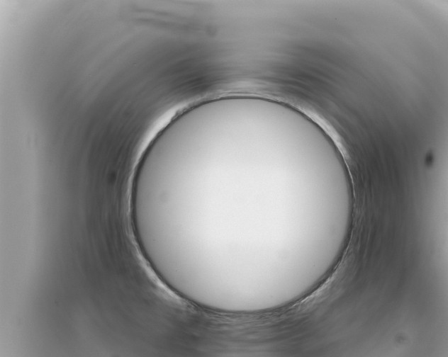 X0000095131477200712070955
