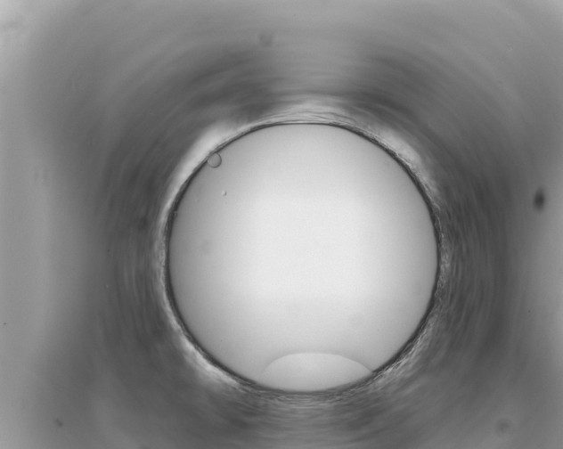 X0000095131478200712070955