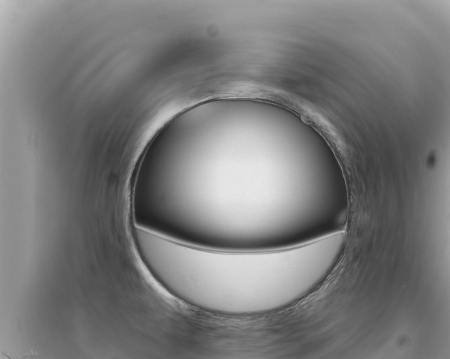 X0000095131479200712070955