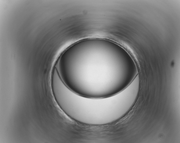 X0000095131480200712070955