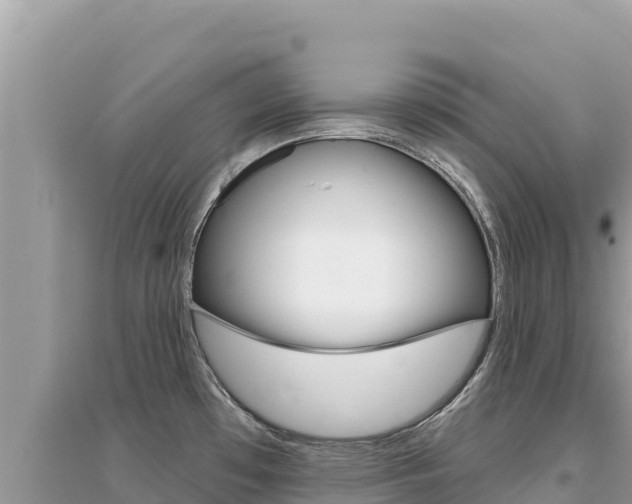 X0000095131481200712070955