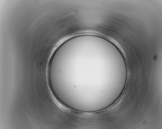 X0000095131482200712070955