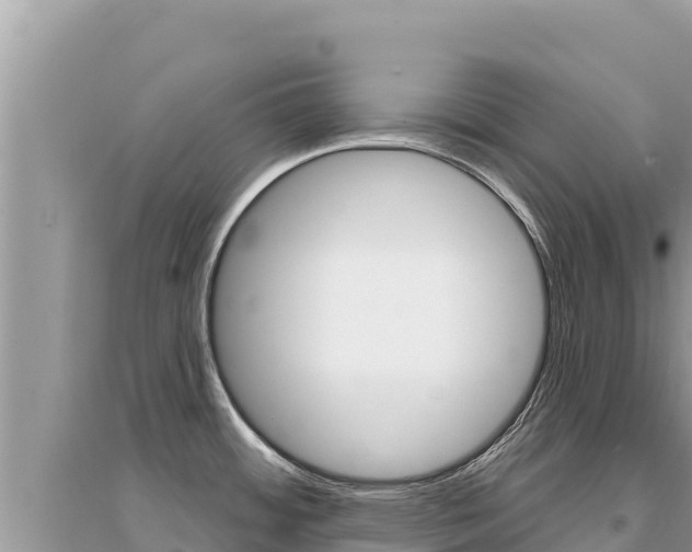X0000095131484200712070955