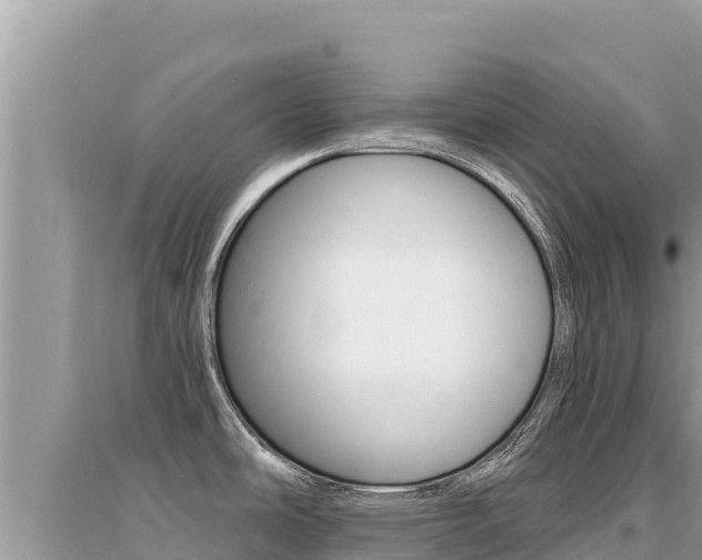 X0000095131486200712070955