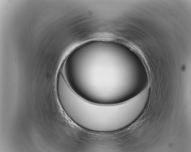 X0000095131488200712070955