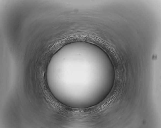 X0000095131489200712070955